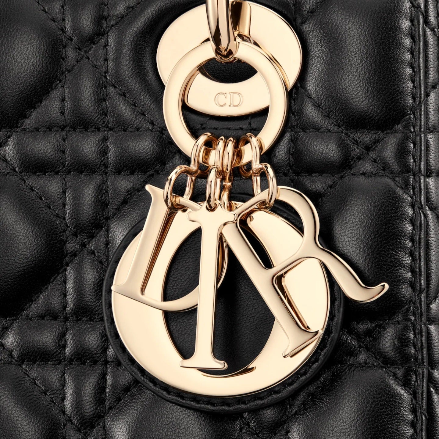 The Lady Dior